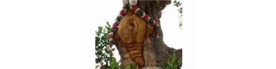 08. திருக்கூடலூர்